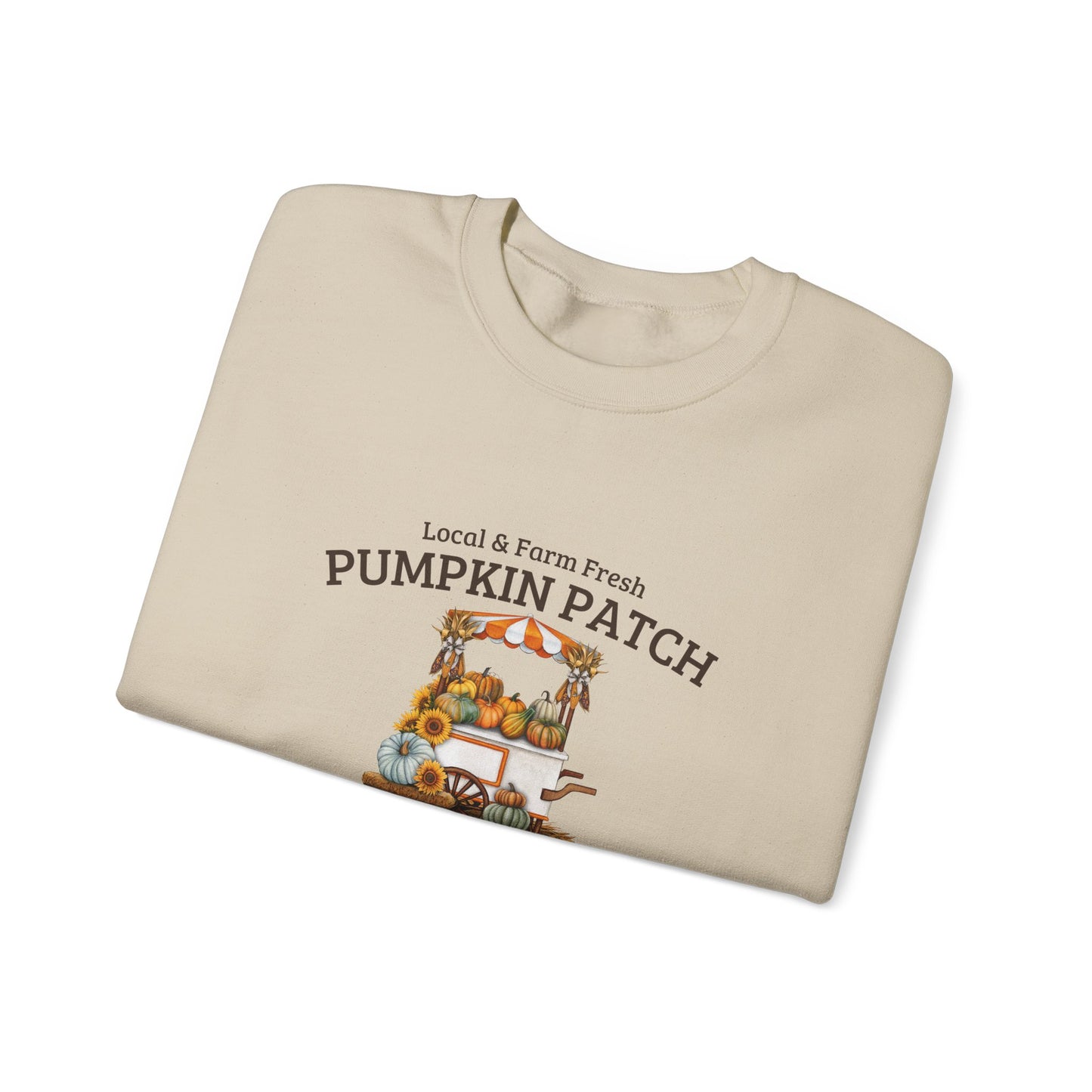 Pumpkin Patch Sweatshirt
